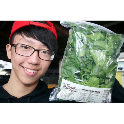SPINACH SMALL SIZE LEAVES  300 Gram Bag  Pukekohe Grown